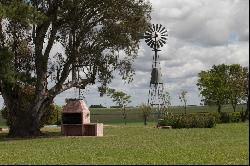 Farm in Arrecifes, 68 hectares