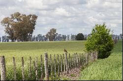 Farm in Arrecifes, 68 hectares