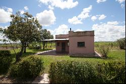 Farm in Arrecifes, 68 hectares