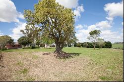 Farm in Arrecifes, 68 hectares