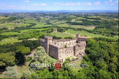Chianti - TUSCAN CASTLE WITH VINEYARDS FOR SALE IN TUSCANY BETWEEN FLORENCE AND SIENA