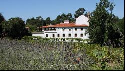 Rural Tourism House with gardens and swimming pool, Barcelos, Portugal