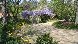 Rural Tourism House with gardens and swimming pool, Barcelos, Portugal