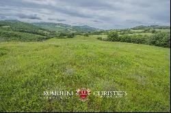 Tuscany - MORELLINO DI SCANSANO WINE ESTATE FOR SALE IN MAREMMA