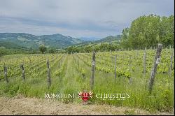 Tuscany - MORELLINO DI SCANSANO WINE ESTATE FOR SALE IN MAREMMA