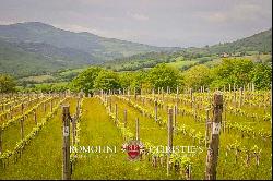 Tuscany - MORELLINO DI SCANSANO WINE ESTATE FOR SALE IN MAREMMA