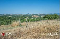 WINE ESTATE WITH APARTMENT FOR SALE IN GROSSETO, TUSCANY MONTECUCCO