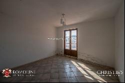 WINE ESTATE WITH APARTMENT FOR SALE IN GROSSETO, TUSCANY MONTECUCCO