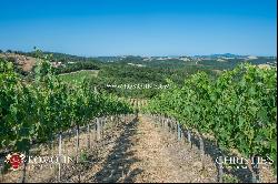 Tuscany - WINE ESTATE WITH APARTMENT FOR SALE IN GROSSETO, TUSCANY
