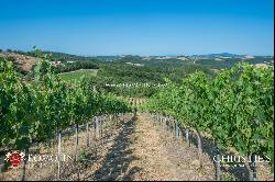 WINE ESTATE WITH APARTMENT FOR SALE IN GROSSETO, TUSCANY MONTECUCCO