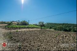 WINE ESTATE WITH APARTMENT FOR SALE IN GROSSETO, TUSCANY MONTECUCCO