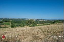 WINE ESTATE WITH APARTMENT FOR SALE IN GROSSETO, TUSCANY MONTECUCCO