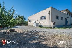 WINE ESTATE WITH APARTMENT FOR SALE IN GROSSETO, TUSCANY MONTECUCCO