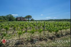 WINE ESTATE WITH 13 HA OF VINEYARDS FOR SALE ON THE TRASIMENO LAKE, UMBRIA