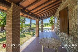 WINE ESTATE WITH 13 HA OF VINEYARDS FOR SALE ON THE TRASIMENO LAKE, UMBRIA