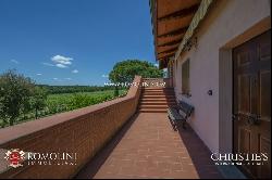 WINE ESTATE WITH 13 HA OF VINEYARDS FOR SALE ON THE TRASIMENO LAKE, UMBRIA