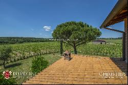 WINE ESTATE WITH 13 HA OF VINEYARDS FOR SALE ON THE TRASIMENO LAKE, UMBRIA