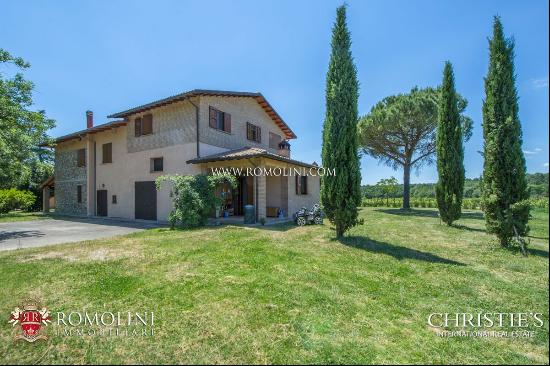 WINE ESTATE WITH 13 HA OF VINEYARDS FOR SALE ON THE TRASIMENO LAKE, UMBRIA