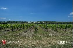 WINE ESTATE WITH 13 HA OF VINEYARDS FOR SALE ON THE TRASIMENO LAKE, UMBRIA