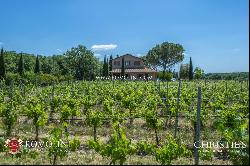 WINE ESTATE WITH 13 HA OF VINEYARDS FOR SALE ON THE TRASIMENO LAKE, UMBRIA