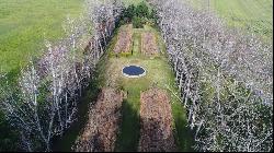 Fabulous farm in Buenos Aires