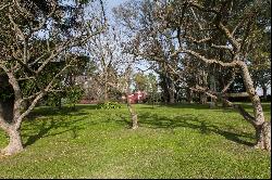 Fabulous farm in Buenos Aires