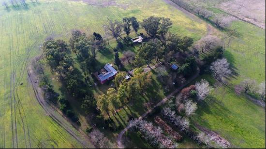 Fabulous farm in Buenos Aires