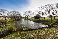 Fabulous farm in Buenos Aires