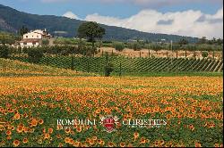 BEAUTIFUL WINE RESORT FOR SALE IN TUSCANY, SIENA, STATE OF THE ART WINERY, 25 HECTARES OF