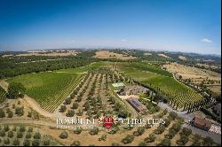 BEAUTIFUL WINE RESORT FOR SALE IN TUSCANY, SIENA, STATE OF THE ART WINERY, 25 HECTARES OF