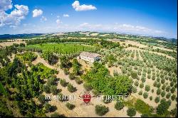 BEAUTIFUL WINE RESORT FOR SALE IN TUSCANY, SIENA, STATE OF THE ART WINERY, 25 HECTARES OF