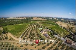 Tuscany - BEAUTIFUL WINE RESORT FOR SALE NEAR SIENA