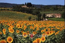 BEAUTIFUL WINE RESORT FOR SALE IN TUSCANY, SIENA, STATE OF THE ART WINERY, 25 HECTARES OF