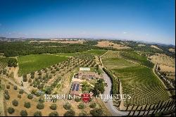 BEAUTIFUL WINE RESORT FOR SALE IN TUSCANY, SIENA, STATE OF THE ART WINERY, 25 HECTARES OF