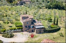 ECO-FRIENDLY FARMHOUSE WITH GARDEN AND OLIVE GROVE FOR SALE TUSCANY