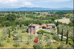 ECO-FRIENDLY FARMHOUSE WITH GARDEN AND OLIVE GROVE FOR SALE TUSCANY