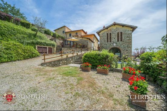 FLORENCE: AGRITURISMO WITH POOL AND OLIVE GROVE, TUSCANY