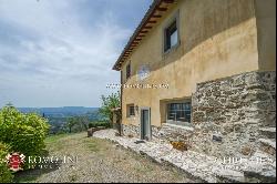 FLORENCE: AGRITURISMO WITH POOL AND OLIVE GROVE, TUSCANY