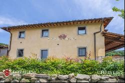 FLORENCE: AGRITURISMO WITH POOL AND OLIVE GROVE, TUSCANY