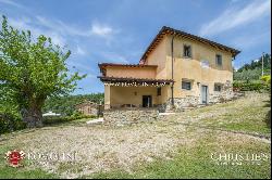 FLORENCE: AGRITURISMO WITH POOL AND OLIVE GROVE, TUSCANY