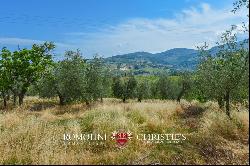 HISTORICAL ESTATE FOR SALE IN FLORENCE - CHIANTI