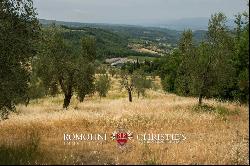 HISTORICAL ESTATE FOR SALE IN FLORENCE - CHIANTI