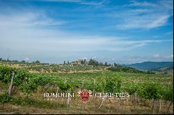 HISTORICAL ESTATE FOR SALE IN FLORENCE - CHIANTI