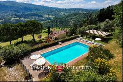 CHIANTI: ESTATE WITH WINE-CELLAR AND AGRITURISMO FOR SALE, RISERVA DI CACCIA