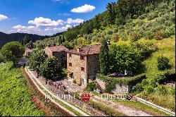 CHIANTI: ESTATE WITH WINE-CELLAR AND AGRITURISMO FOR SALE, RISERVA DI CACCIA