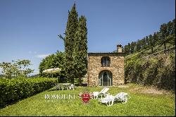 CHIANTI: ESTATE WITH WINE-CELLAR AND AGRITURISMO FOR SALE, RISERVA DI CACCIA