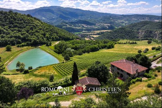 CHIANTI: ESTATE WITH WINE-CELLAR AND AGRITURISMO FOR SALE, RISERVA DI CACCIA