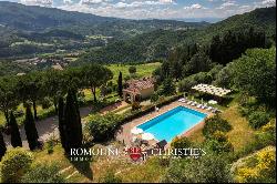 CHIANTI: ESTATE WITH WINE-CELLAR AND AGRITURISMO FOR SALE, RISERVA DI CACCIA