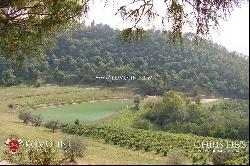 Chianti - ESTATE WITH WINERY AND HUNTING RESERVE FOR SALE IN TUSCANY