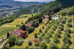 CHIANTI: ESTATE WITH WINE-CELLAR AND AGRITURISMO FOR SALE, RISERVA DI CACCIA